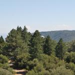 Palomar_0081 (September 10, 2011)